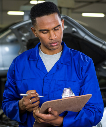 Cuttings & Bare Root